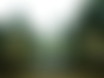 Irlanda interior , y el delito que quedó impune.