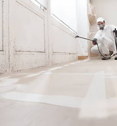mold-remediation-expert.jpg