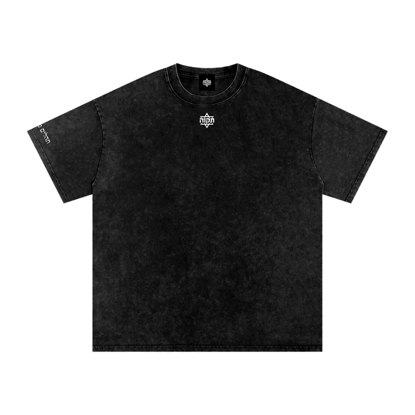 Classic Oversized Washed Tee (Pasuk on Sleeve)