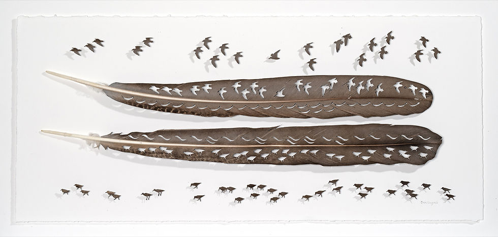 "Waveline Shorebirds" by Chris Maynard. Two large brown feathers arranged horizontally, each carved with intricate patterns — the upper feather with birds in flight and wave forms, the lower with wave patterns and shorebird silhouettes walking along its length. Additional carved shorebird cutouts walk across the white space below the feathers, and smaller birds in flight are scattered above. Signed by the artist in the lower right corner.