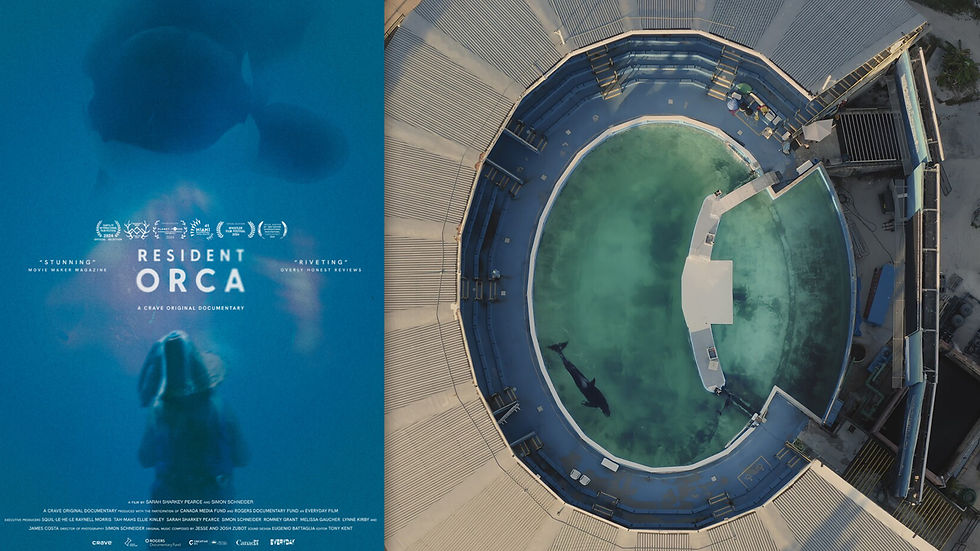 Side-by-side images from the documentary Resident Orca: the film's poster featuring an orca silhouetted in deep blue water, alongside an aerial photograph of a small oval performance tank at the Miami Seaquarium with a single orca visible in the water below.