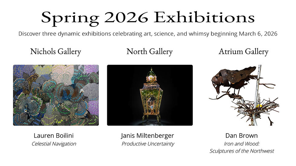 Art, Science & Whimsy: Spring 2026 Exhibitions Open March 6 at SJIMA