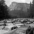 Black-and-white photograph: Half Dome rises above a band of conifers in the upper half of the frame; the lower half is filled edge to edge with parked 1950s and 1960s cars.