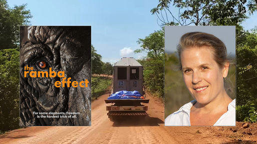 The Ramba Effect: Director Claire Sandberg on Telling the Story of Ramba the Elephant