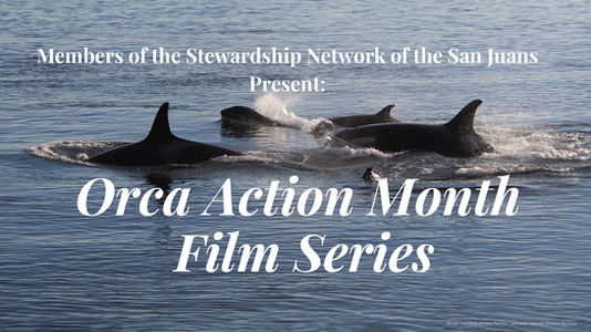 Orca Action Month Film Series Brings Free Documentary Screenings to San Juan Islands in June 2026