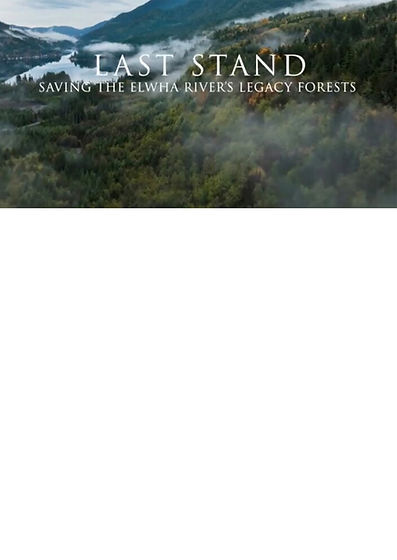 poster-strongerThanEver.jpg