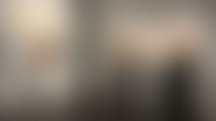 Sculpting Form into Movement: The Art of Jan Hoy