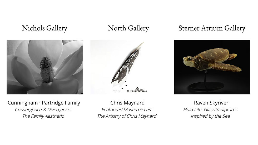 Summer 2026 Exhibitions