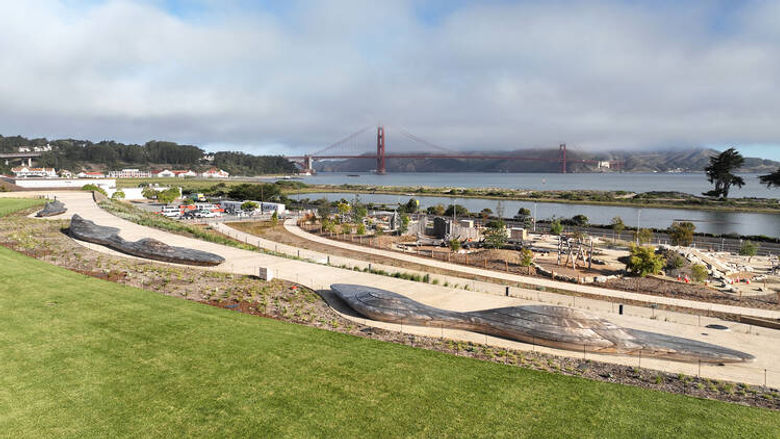 Presidio Parklands.jpeg