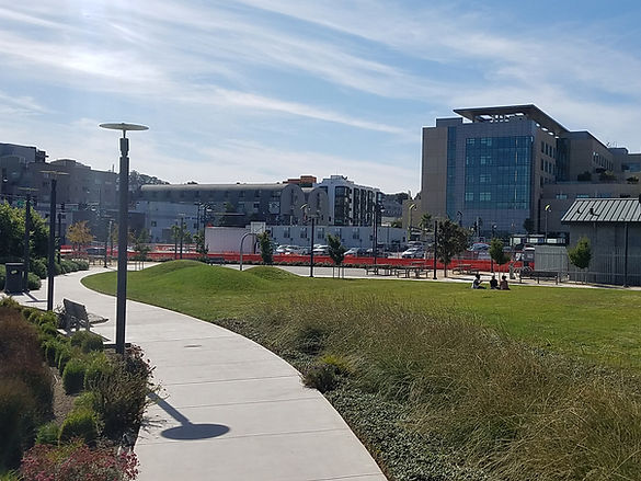 Bay Front Park.jpeg
