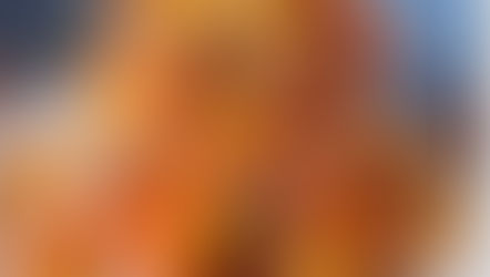 Ceviche de Bananas da Terra