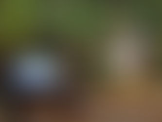 UM BREAKFAST DE RESPEITO