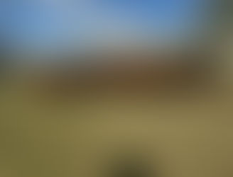 FOR SALE: LOT 3 – 19 Santa Steers