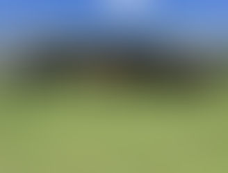 FOR SALE: LOT 3 - 13 Brangus Heifers