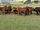 FOR SALE: LOT 2 - 15 Simmental Limousin Cross Steers