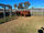 FOR SALE: LOT 6 - 6 Santa Heifers