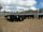 FOR SALE: LOT 4 - 18 Brangus & Angus Hereford Cross Steers