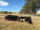 FOR SALE: LOT 9 - 17 Angus Heifers