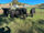 FOR SALE: LOT 1 – 7x7 Angus Cows and Calves