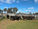 FOR SALE: LOT 4 – 9 Brangus Steers