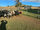 FOR SALE: LOT 1- Longhorn Bulls and Heifers