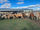 FOR SALE: LOT 5 – 22 PTIC Charbray and Brangus Cows