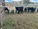 FOR SALE: LOT 3 - 9 Angus Charolais and Santa Steers