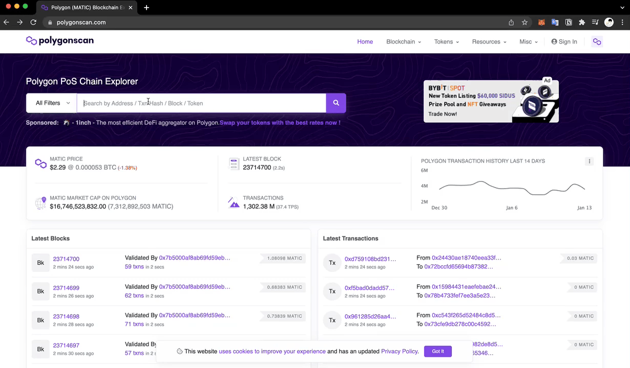 Polygon (MATIC) Blockchain Explorer - 14 January 2022.gif