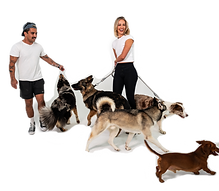 Dog Sitting Photos-20_edited.png