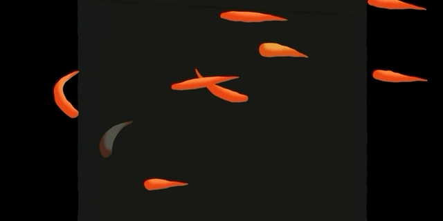 AeGoldfish_01_ripple.gif