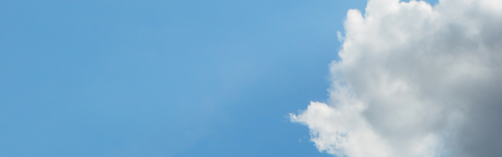 donation Background.png