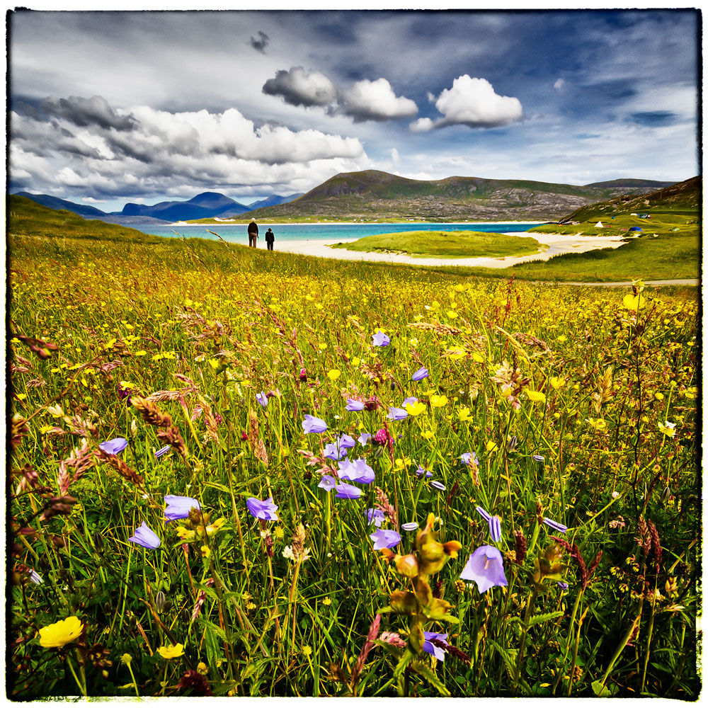 Horgabost Machair