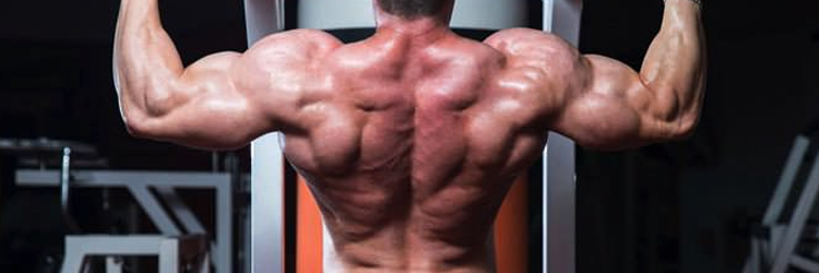 Paravar Elite Series: Boost Power| Benefits, Ingredients & Price| Free Trial