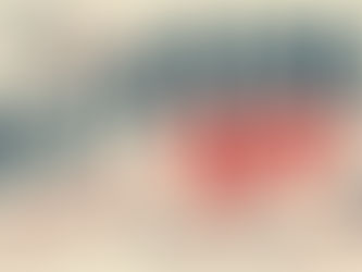 History Short: Veterans Day (and more!)