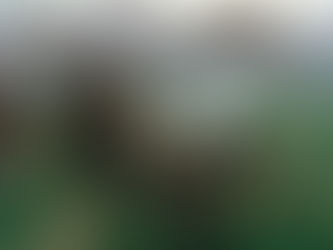 History Short: Shot Heard 'round the World