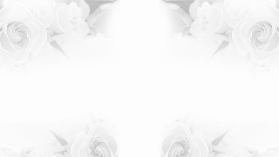 webbanner (Facebook Cover) (2).png