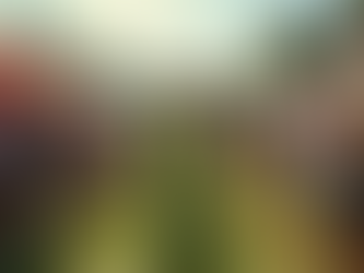 Enhancing Community Engagement Through Legal Cannabis