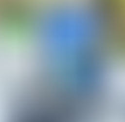 格安の広告印刷物を提供始めました。