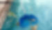 pc web maybe.jpg