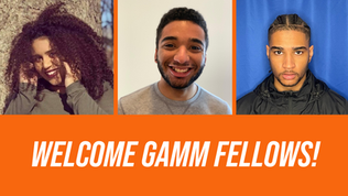 gamm fellowship program