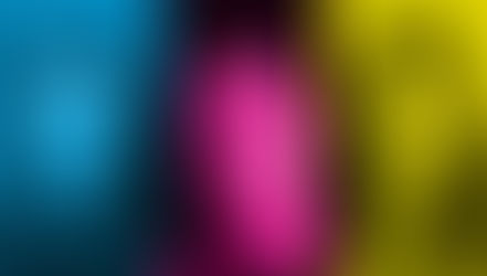 meet our new fellows!