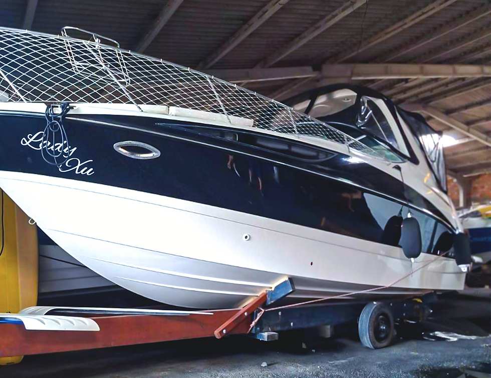 Carrossel - Lancha Bayline - Reconnect - Pag 01.png