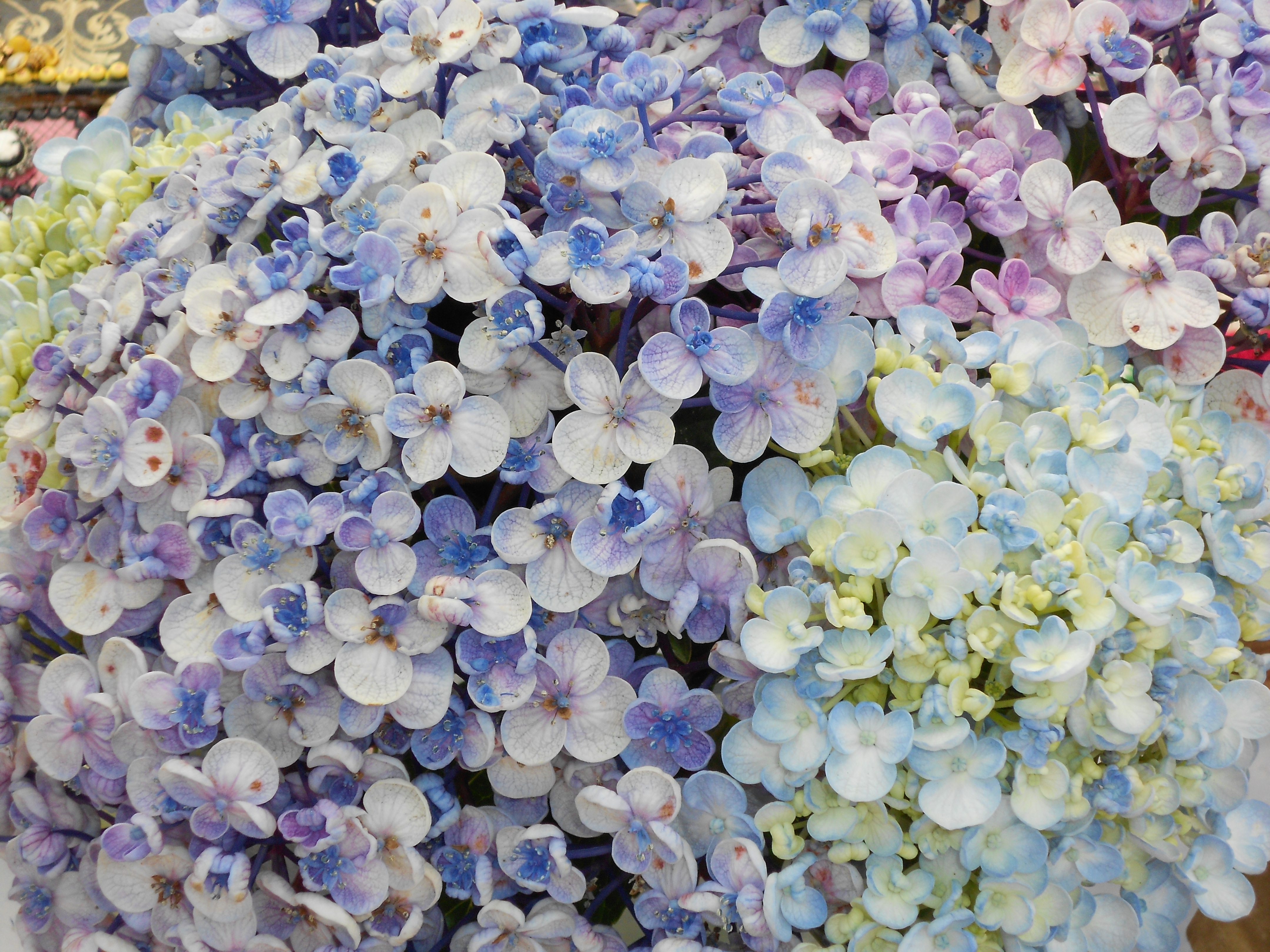 Vintage floral items