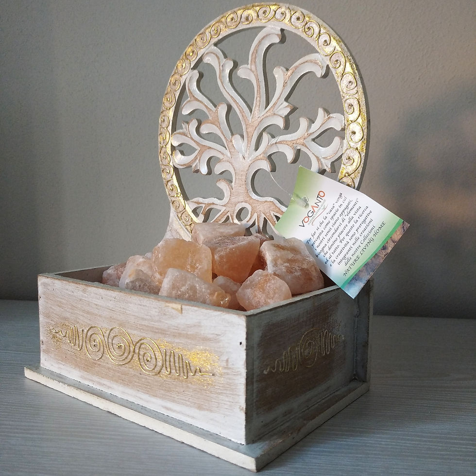 Braciere di legno con blocchi di sale.