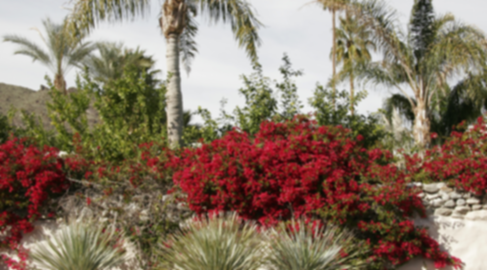 Website pictures (1).png