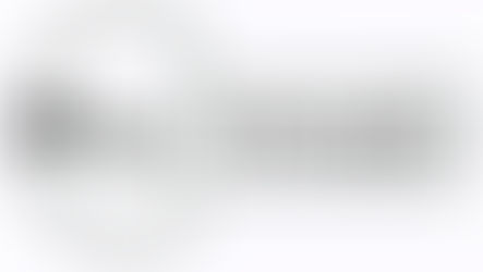 The Standard for Project Management - Key Concepts