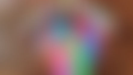 Stakeholder Performance Domain