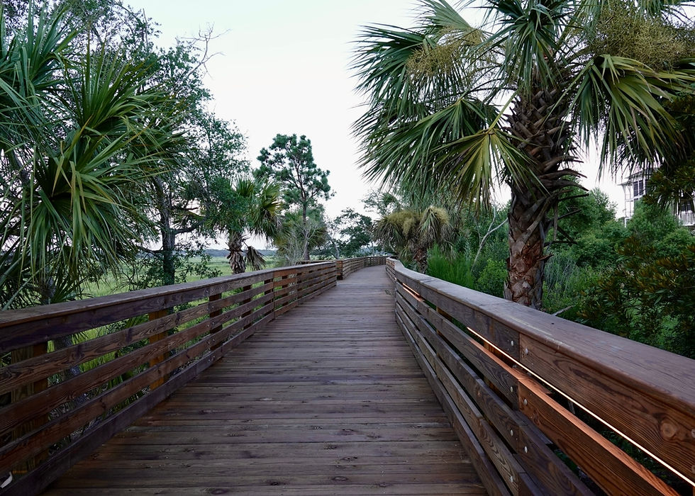 Hilton Head Bike Trails: A Complete Guide to Riding the Island by Bike