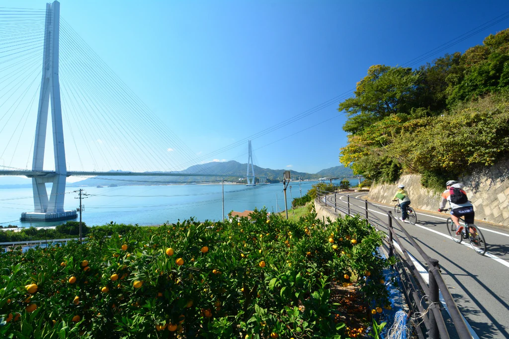 Copy of jw-5d15833aa7fe20.64594176_1024x1024.webp