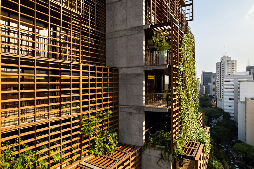 Figura 21: estruturas metálicas da Torre Mata Atlântica